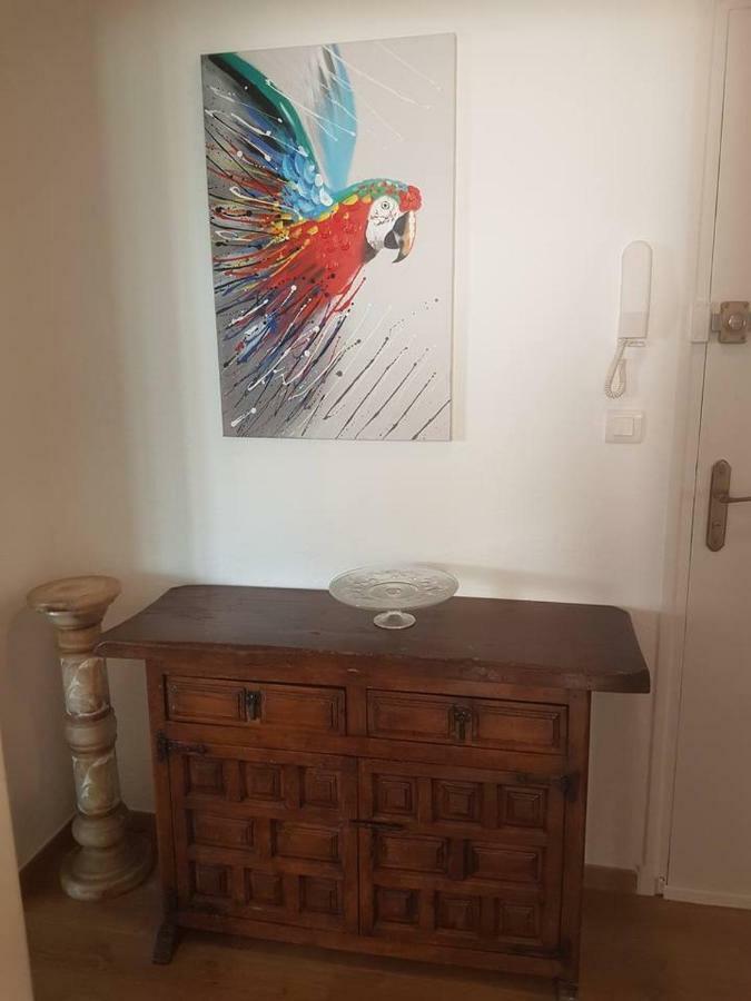 Appartamento 23 Rue Jean Amade Céret Esterno foto